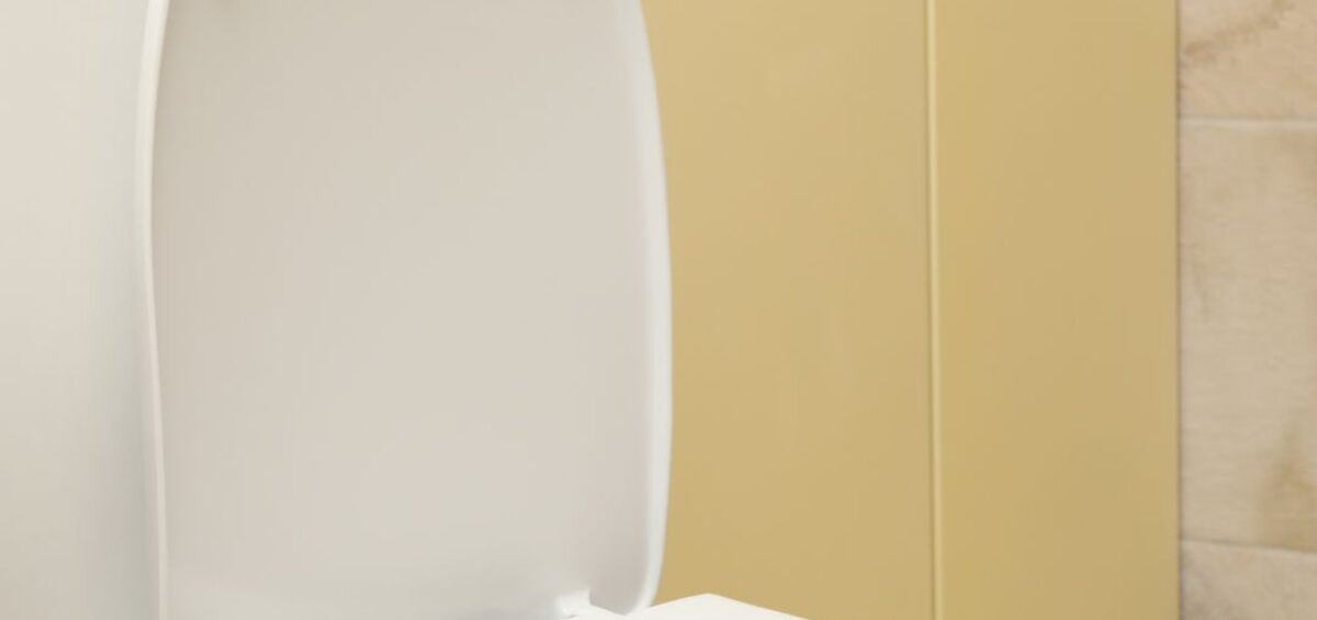 Toilet Seat Price in India